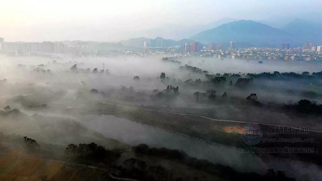 救援花栗鼠