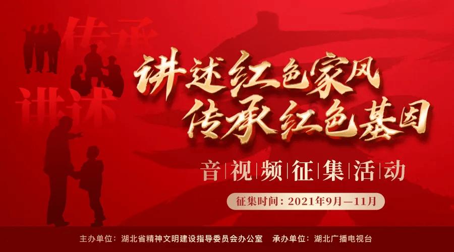 动物拼一拼